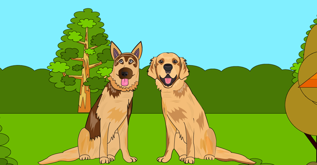 Golden Retriever and German Shepherd